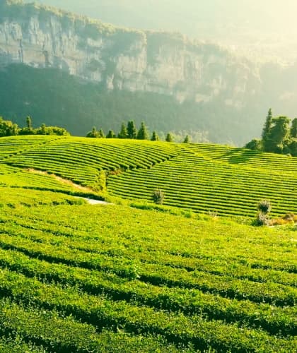 Munnar