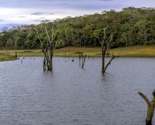 Thekkady